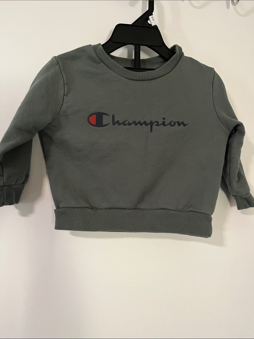 Champion Kids Olive Crewneck Sweatshirt with Logo